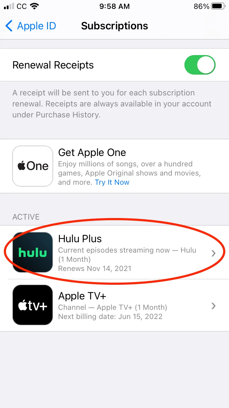 Subscription%20-%20Hulu%20Plus_15204